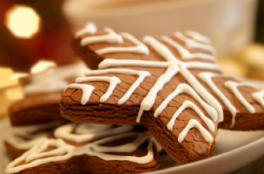 Protein Gingerbread Cookies