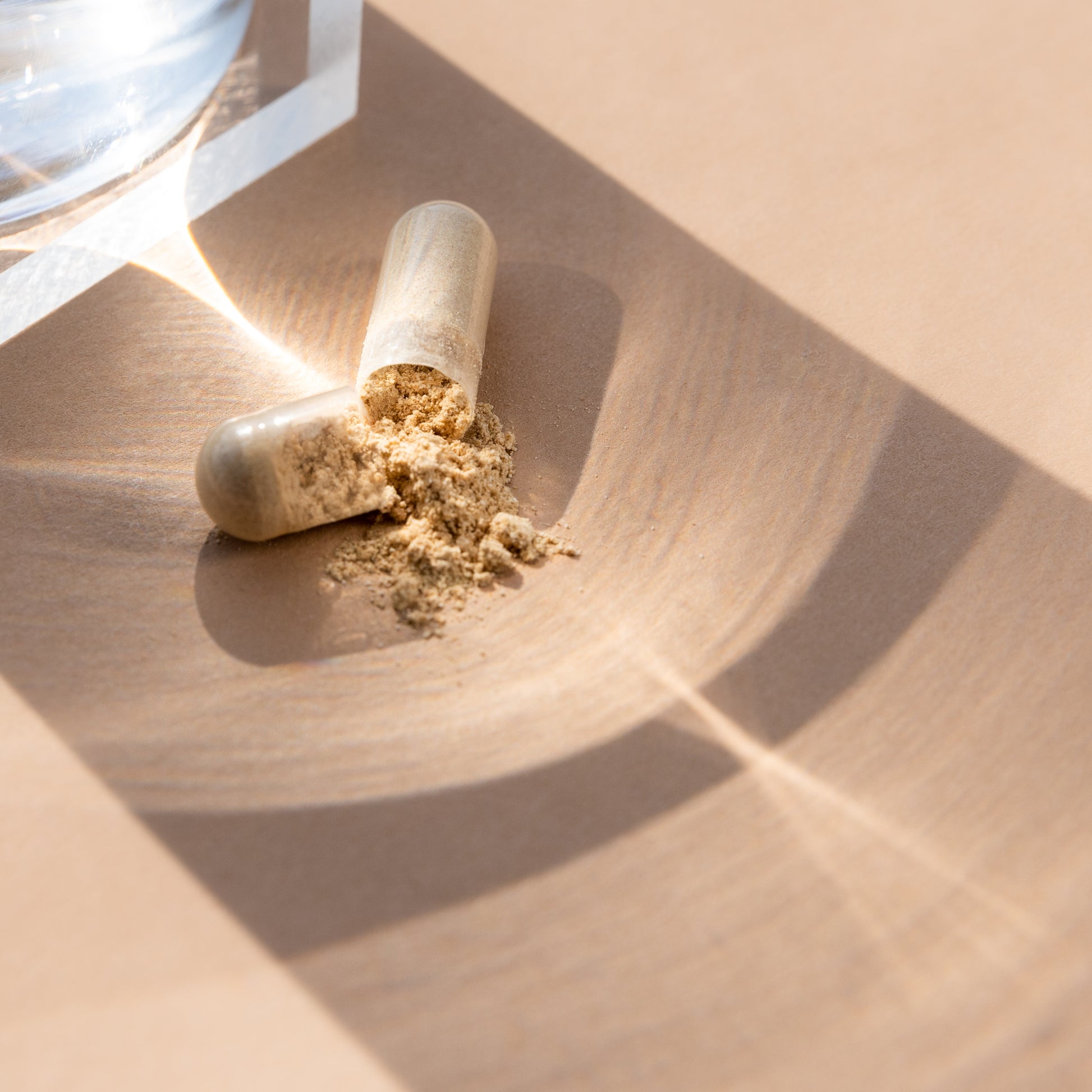 31001784 Progressive Mushroom Complex 90 Capsules PV9671_MK2