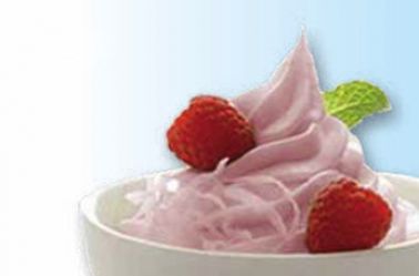 PhytoBerry Frozen Yogurt
