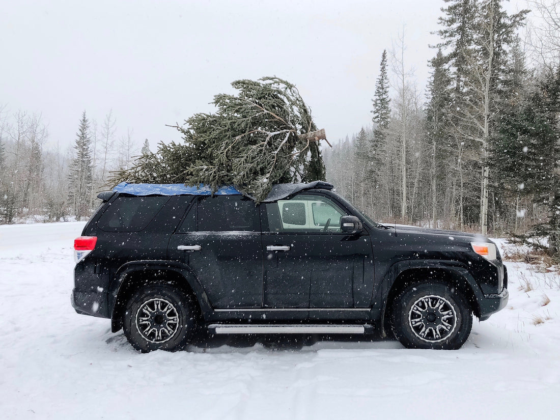 activities-for-this-holiday-season