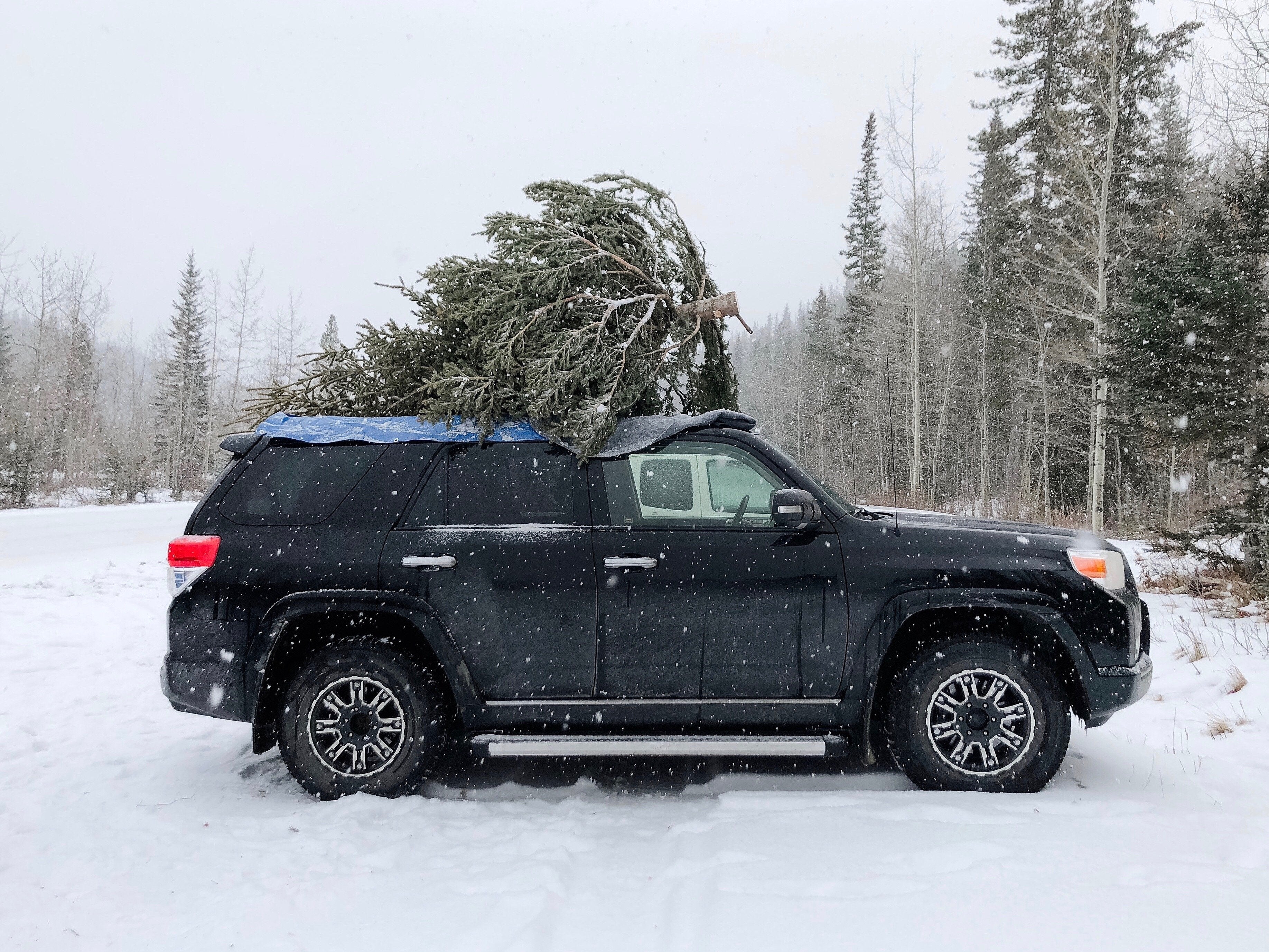 activities-for-this-holiday-season