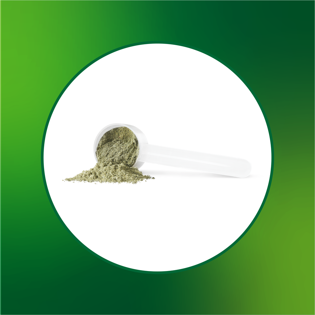 31001946 Progressive VegeGreens, Strawberry Banana, 265 g 1855 Vegegreens Strawberry Banana 530g_Scoop Shot
