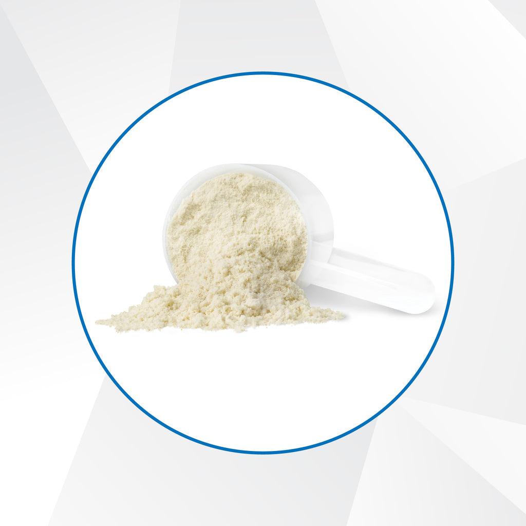 31001836 Progressive Grass Fed Whey Protein Powder 240764 Progressive GFW Amazon_1343_Powder Image