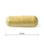 31001851 Progressive Multivitamin For Women 50+ Capsule 31001851_PRO_Multi Women 50+_60caps_PIL_23 mm_21004926_CONTENTS