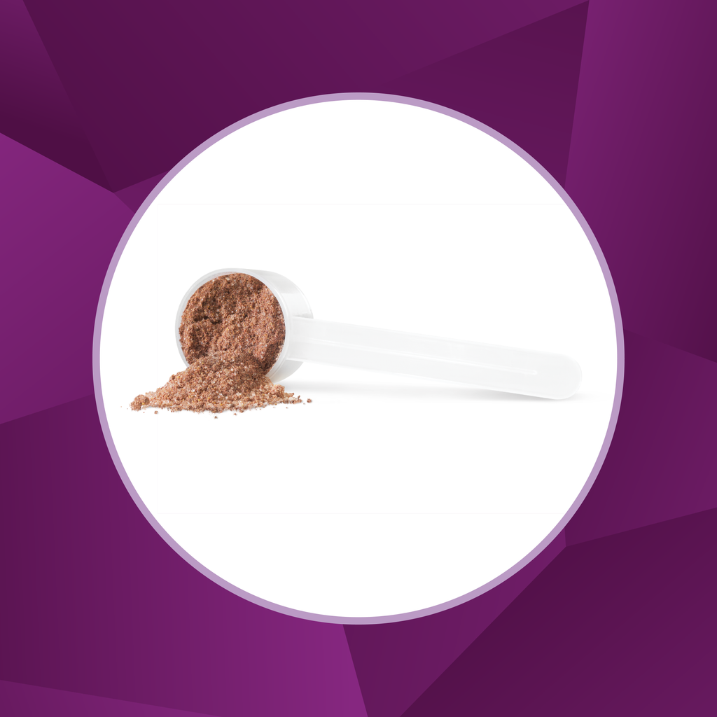 31001381 Progressive PhytoBerry Powder 3305 Phytoberry_450g_Scoop Shot
