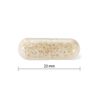 31001886 Progressive Ashwagandha Sleep Complex Vanilla Ice Cream Flavour 30 Capsules PV1008_CONTENTS