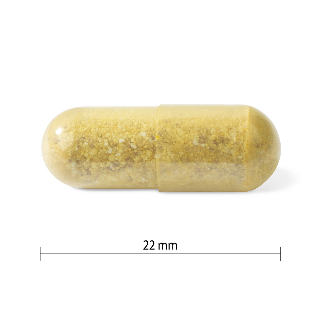 31001857 Progressive Multivitamin For Men 50+ PV1169_CONTENTS