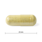 31001855 Progressive Multivitamin For Men PV1206_CONTENTS
