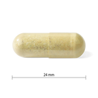 PV1251 Prenatal Multivitamin PV1251_CONTENTS