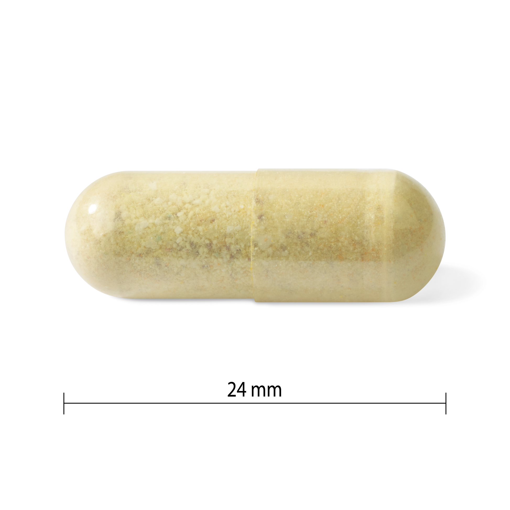 PV1251 Prenatal Multivitamin PV1251_CONTENTS