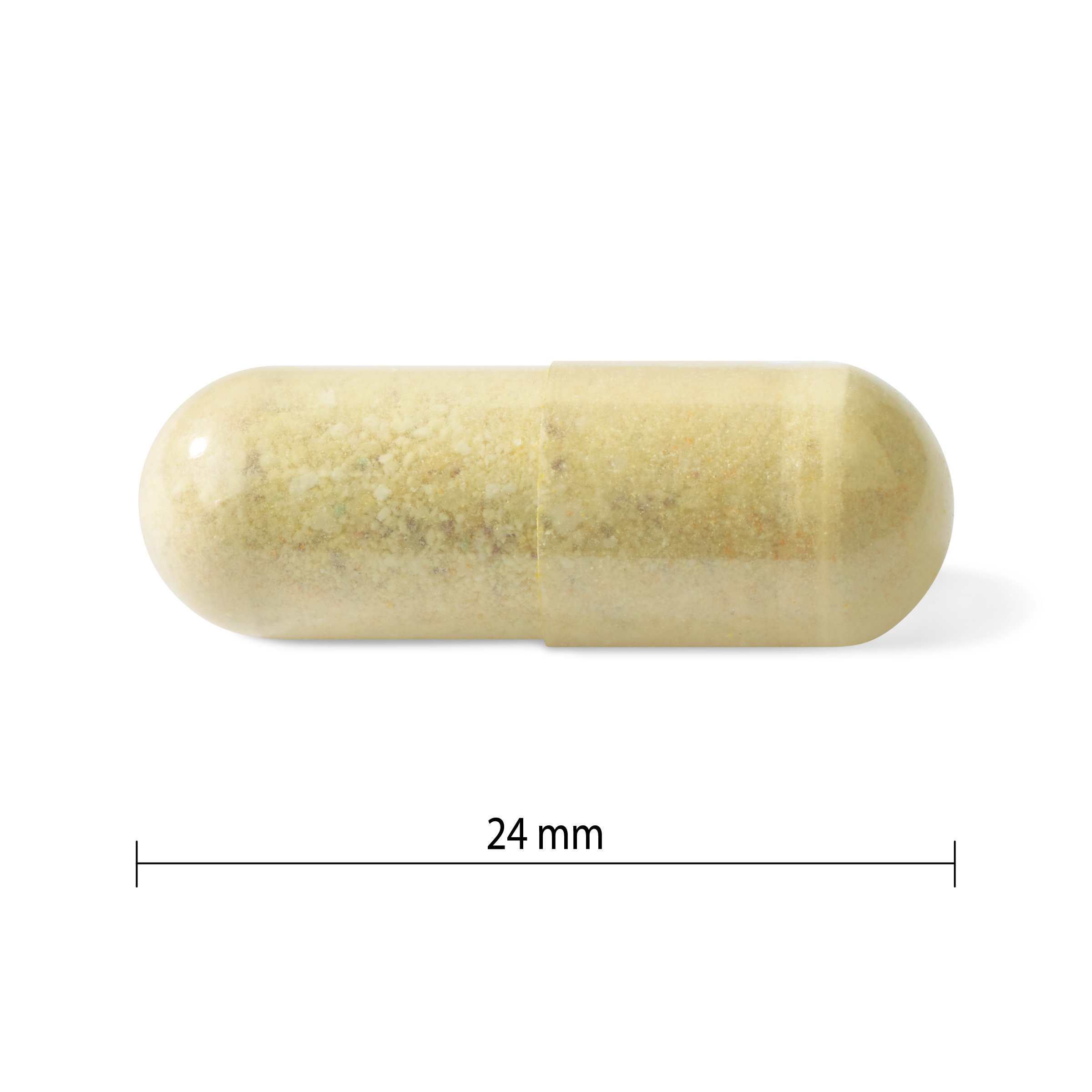 PV1251 Prenatal Multivitamin PV1251_CONTENTS