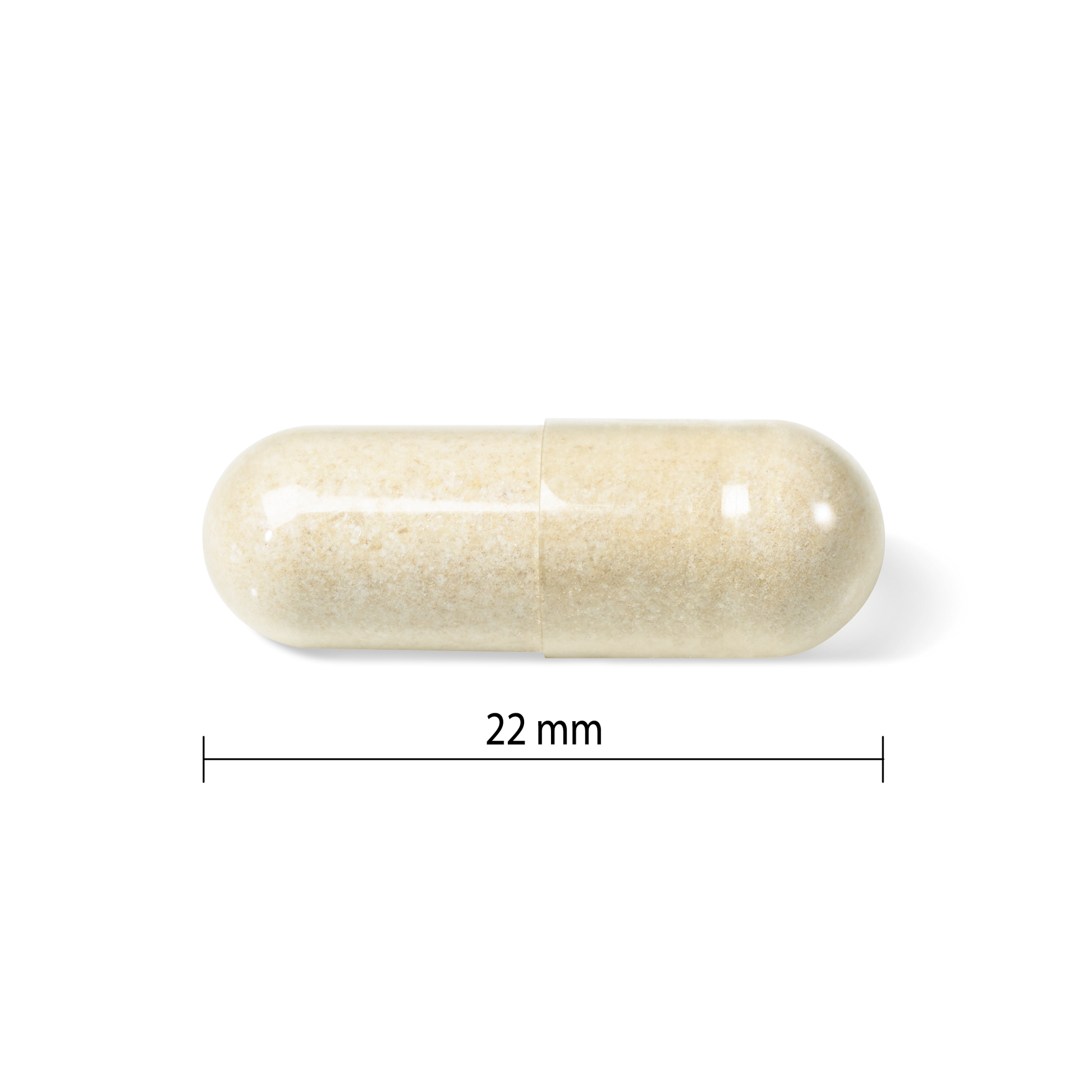 31001780 Progressive Immuno Daily Support 60 Capsules PV9725_CONTENTS