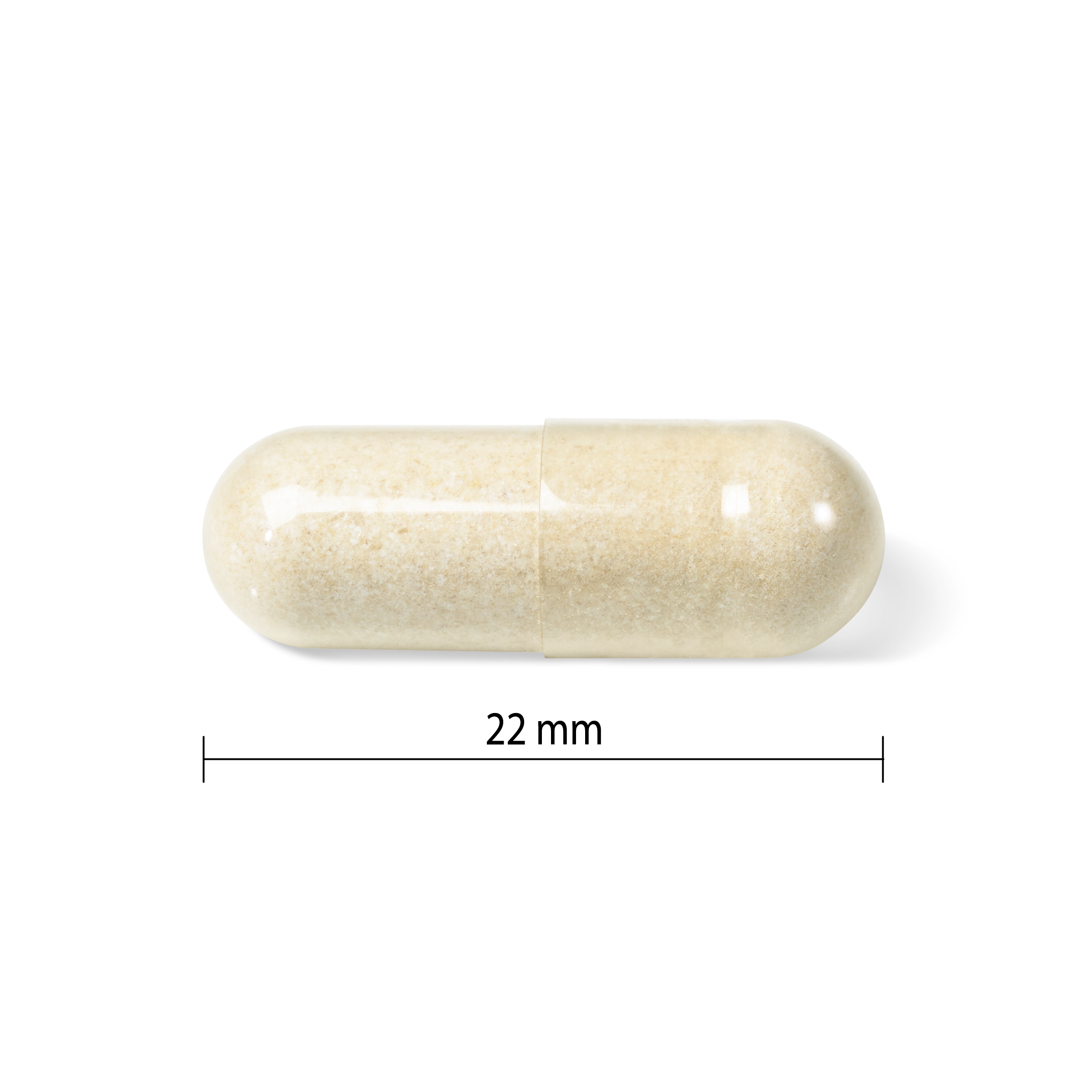31001780 Progressive Immuno Daily Support 60 Capsules PV9725_CONTENTS