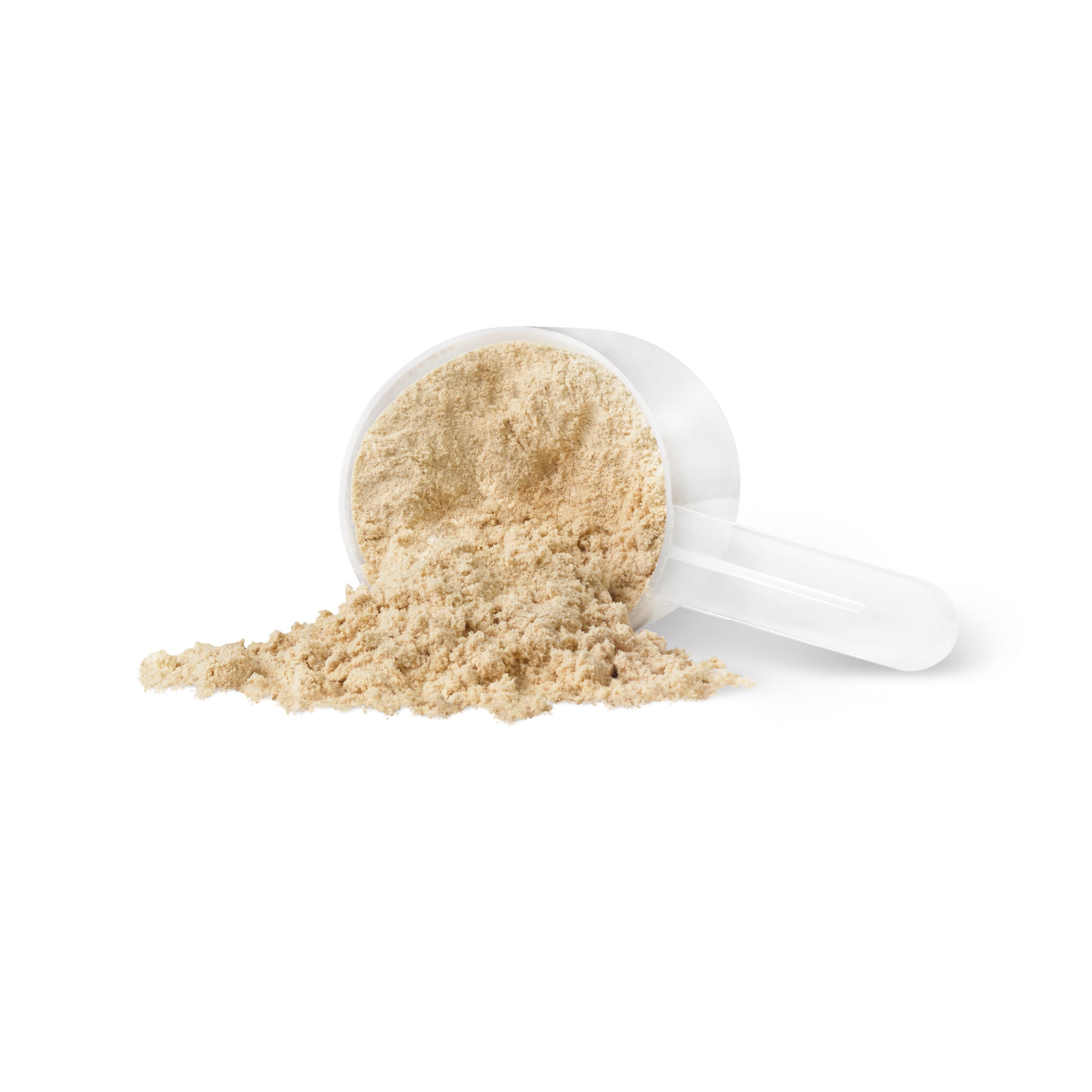 PV3395_Harmonized Fermented Vegan Protein_Vanilla Maple Cookie Flavour_Powder Scoop