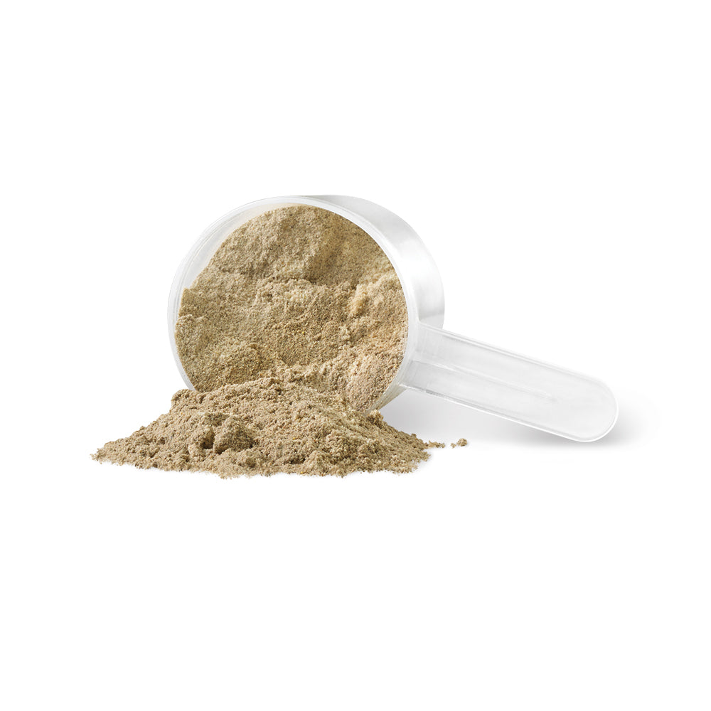 PV3385 Vegessential Chocolate Powder