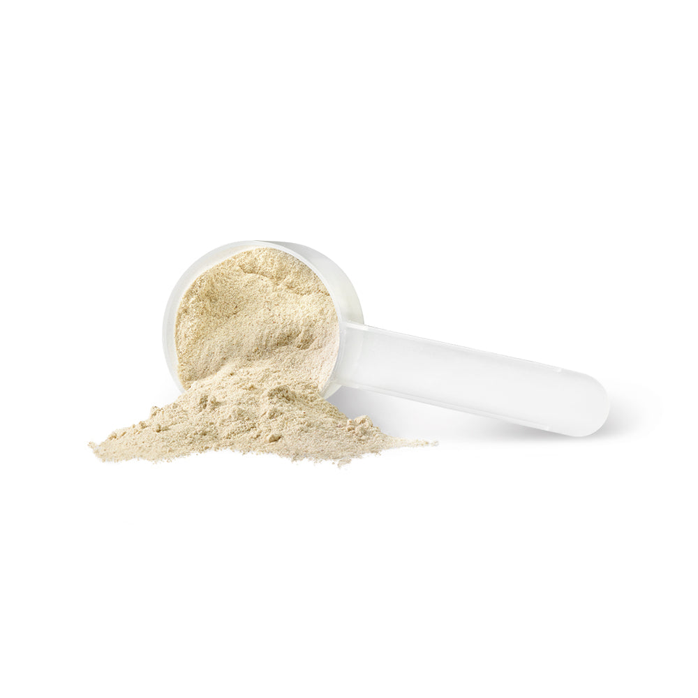 PV3451 WheyEssential Vanilla Powder