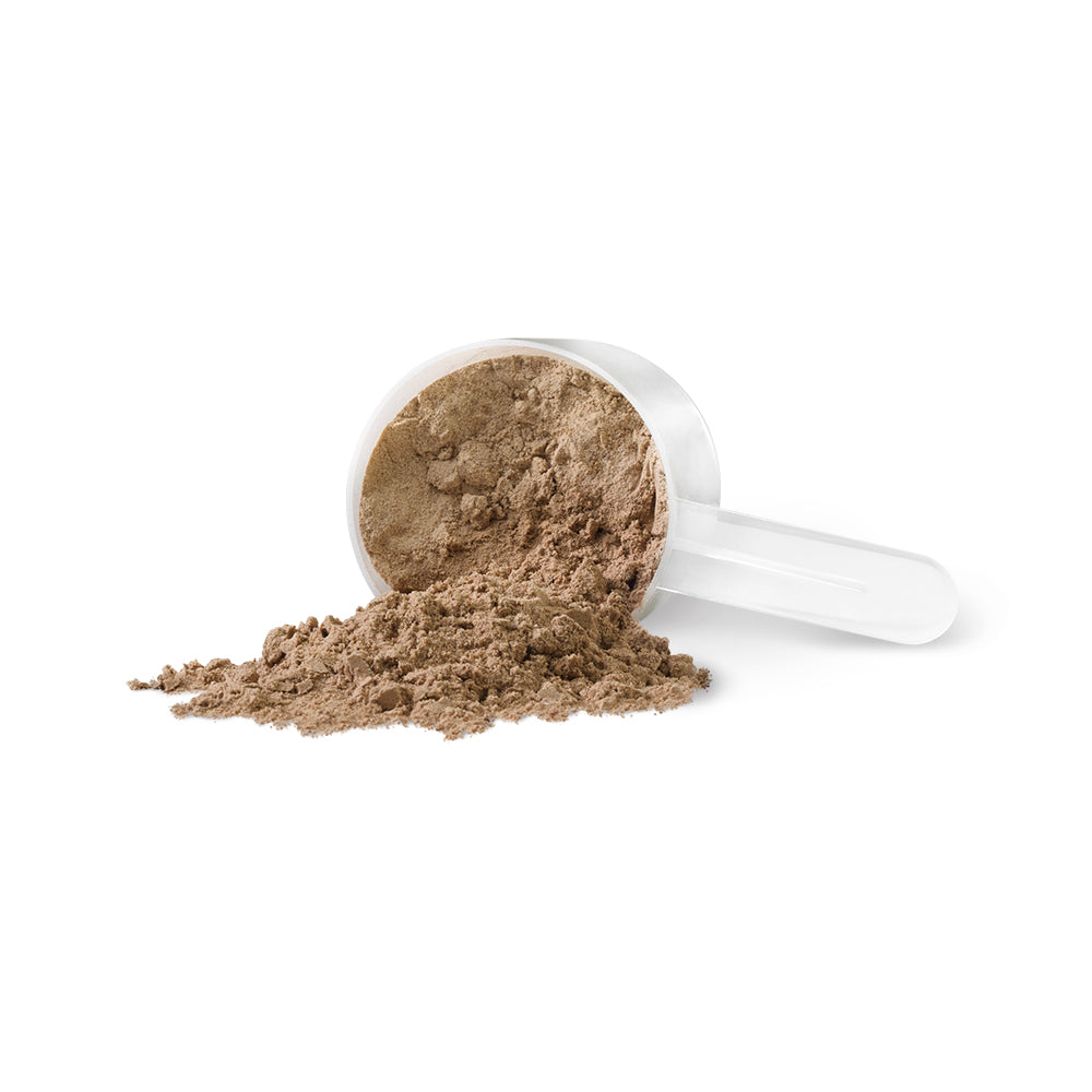 PV3410 Harmonized Fermented Vegan Protein Chocolate Powder